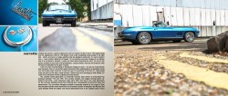 Gallery preview