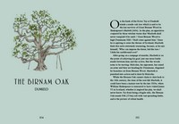 Gallery preview