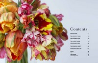Gallery preview