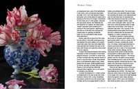 Gallery preview