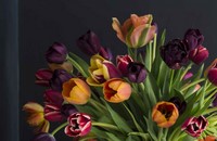 Gallery preview