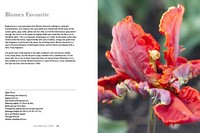 Gallery preview