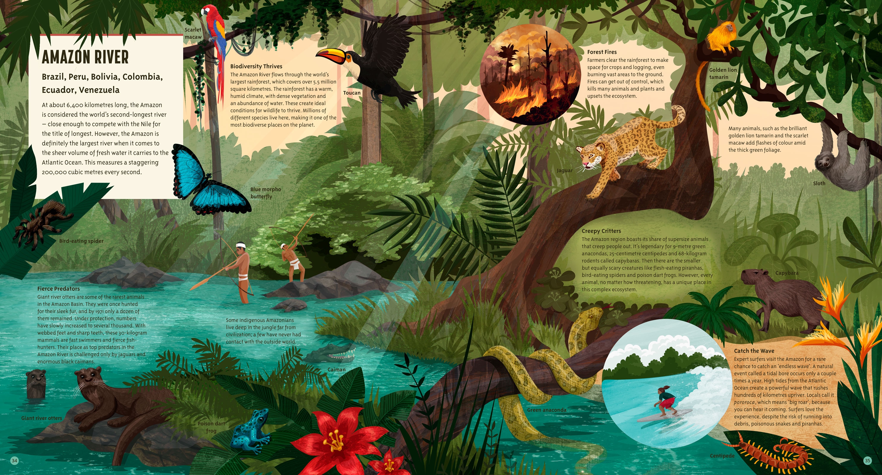 Amazing Rivers, Our Amazing World by Julie Vosburgh Agnone ...
