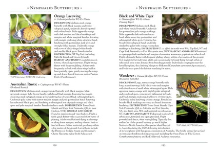 Australian Geographic A Naturalist's Guide to the Insects of Australia ...