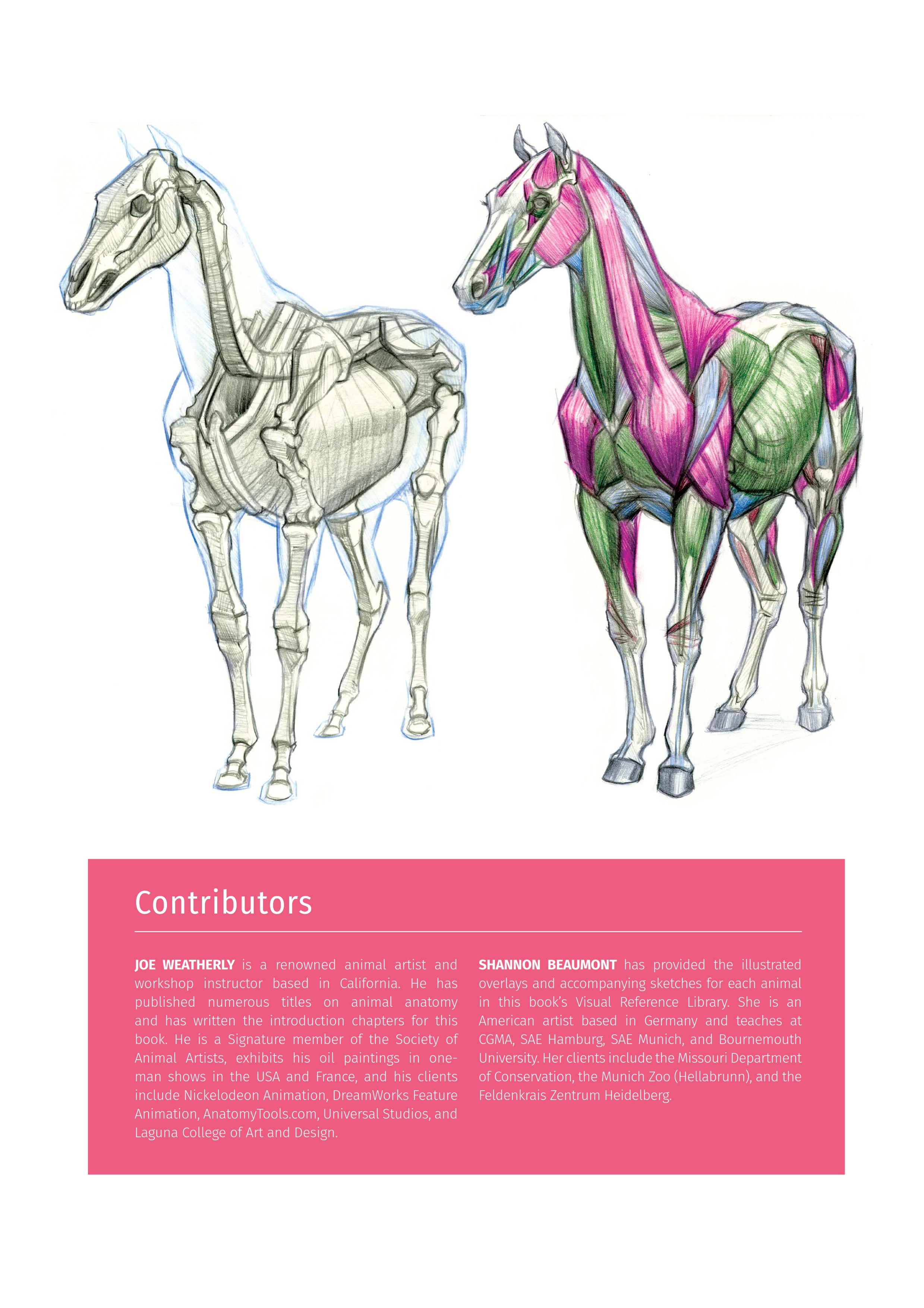 Animal Anatomy for Artists by 3dtotal Publishing | A visual guide