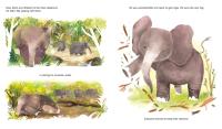 Gallery preview