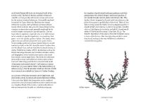 Gallery preview