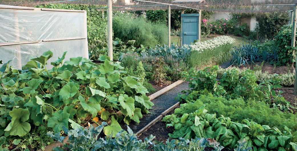 Kitchen Gardens of Australia , Eighteen Productive Gardens for ...