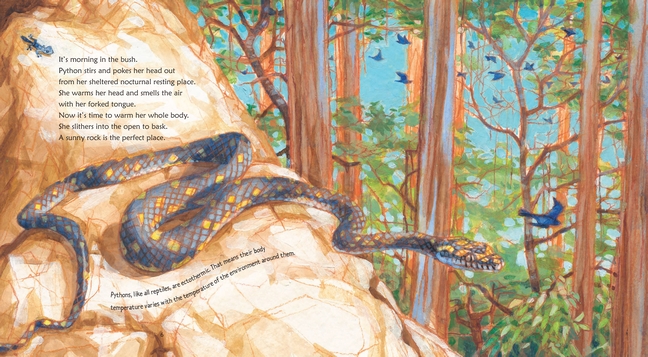 Python, Nature Storybooks by Christopher Cheng | 9781921529603 | Booktopia