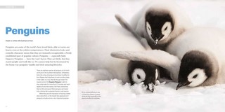 Gallery preview