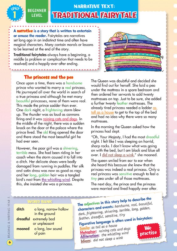 Naplan style Reading And Writing Year 5 Back To Basics By Jane