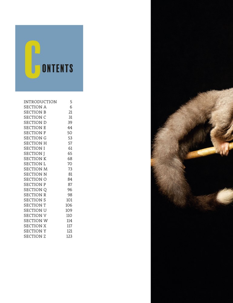 Gallery preview