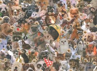Gallery preview