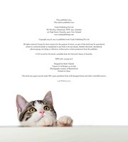 Gallery preview