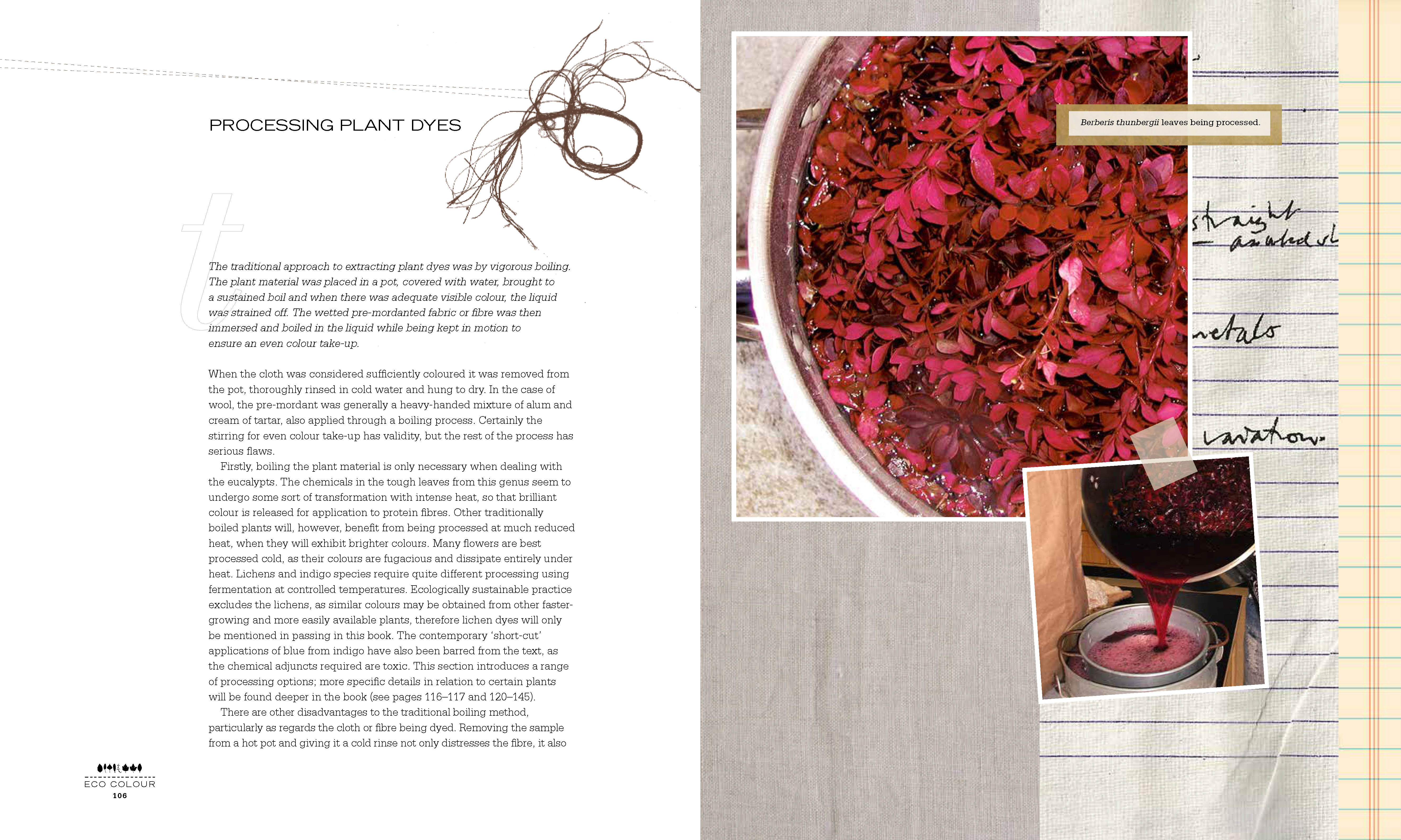 Eco Colour by India Flint | Botanical dyes for beautiful textiles