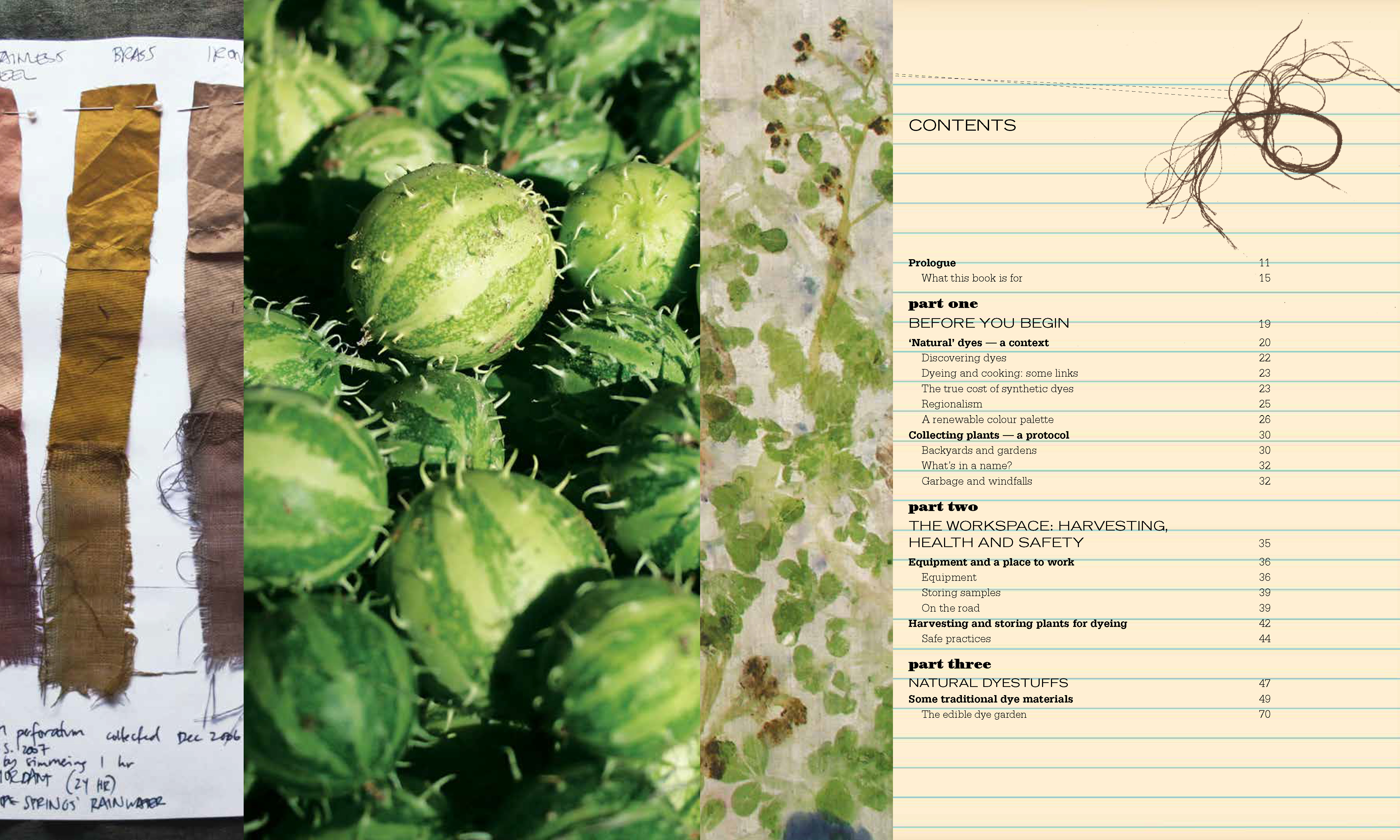 Eco Colour by India Flint | Botanical dyes for beautiful textiles