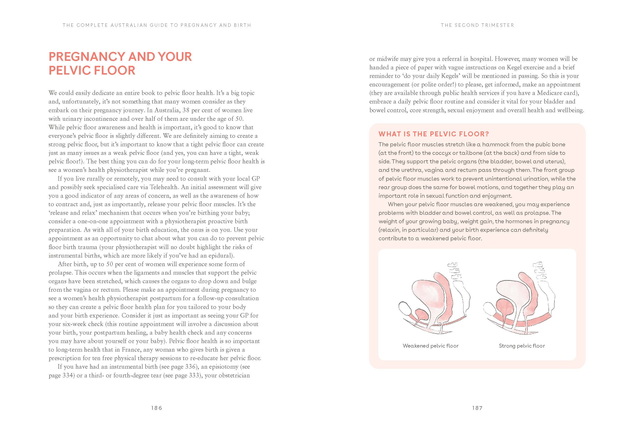 The Complete Australian Guide to Pregnancy and Birth by Jodi Wilson 9781922616036 Booktopia