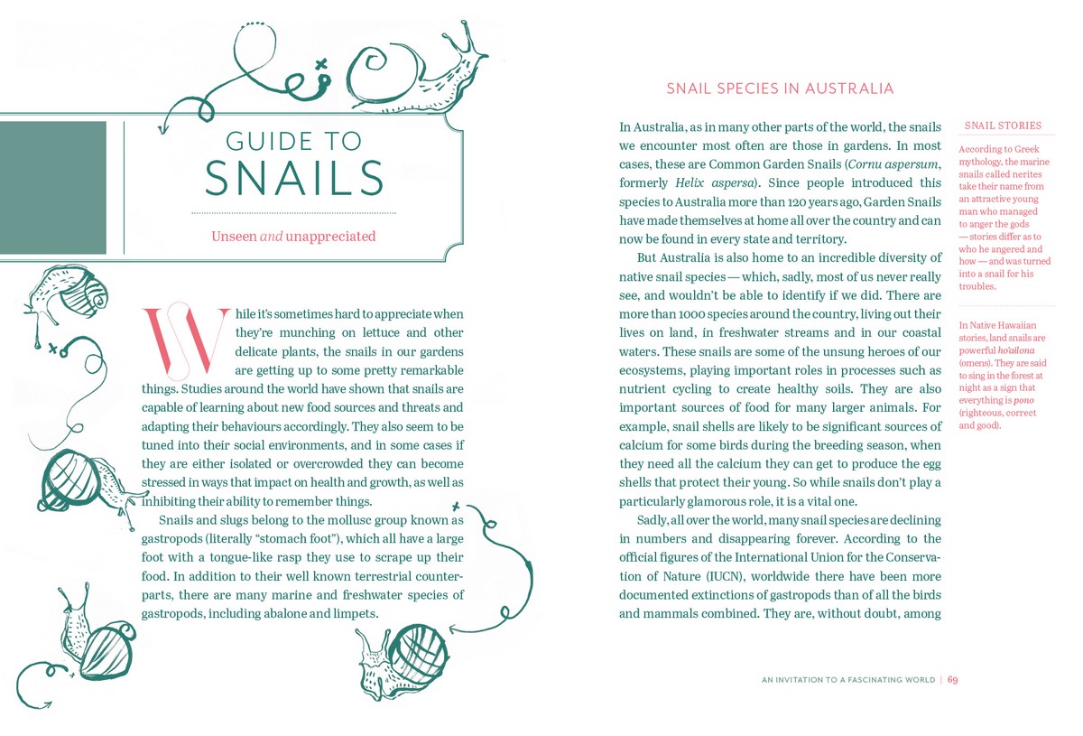 A Guide to the Creatures in Your Neighbourhood by Zoë Sadokierski |  9781922616326 | Booktopia