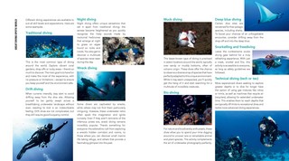 Gallery preview