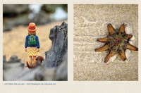 Gallery preview