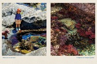 Gallery preview