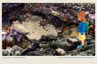 Gallery preview