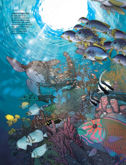 Wildlife of Australia's Great Barrier Reef by Myke Mollard