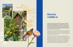 Gallery preview