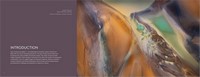 Gallery preview