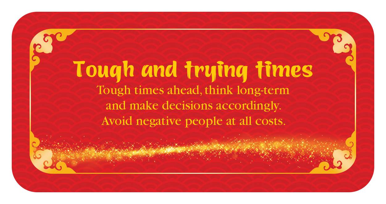 Fortune Cookies Love, Success, Happiness Cards, Mini Inspiration