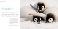 Gallery preview