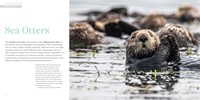 Gallery preview
