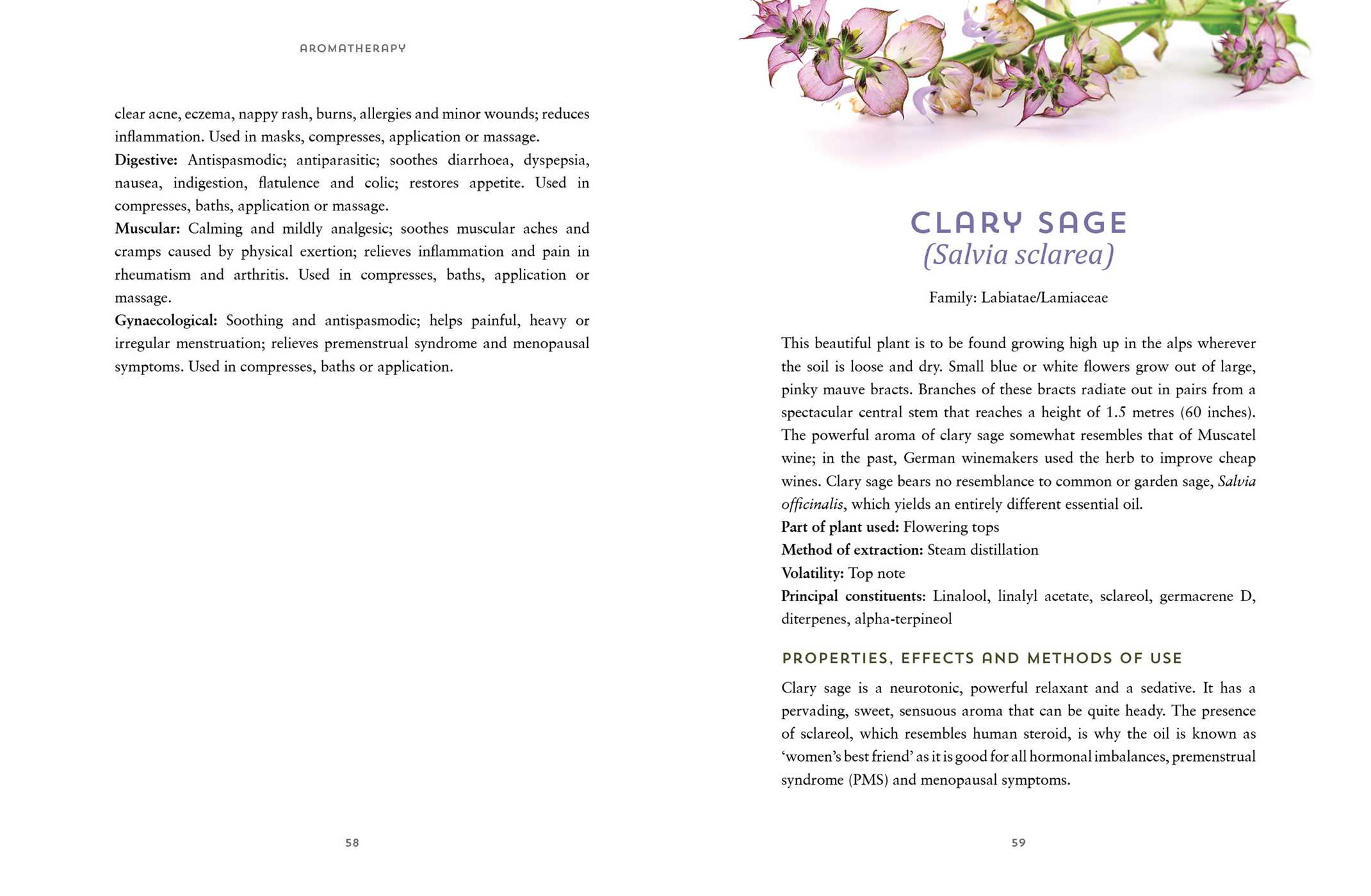 Essential Oils, Your Aromatherapy Guide to Ayurvedic Healing by Ravi