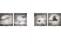 Gallery preview