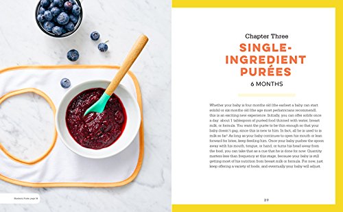 The Super Easy Baby Food Cookbook, Healthy Homemade Recipes for Every