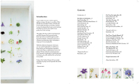 Gallery preview