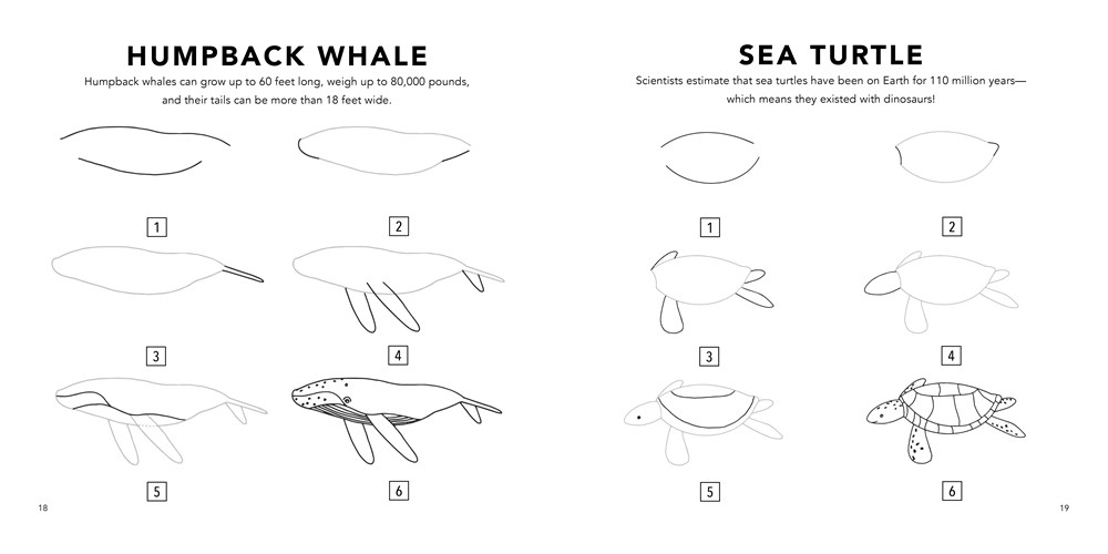 Under the Sea by Alli Koch | How to Draw Books for Kids with Dolphins ...