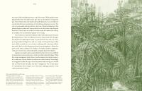 Gallery preview