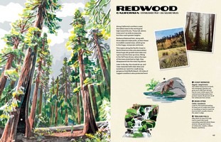 Gallery preview