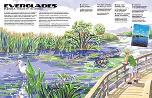 Gallery preview