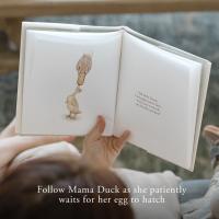 Gallery preview