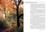 Gallery preview