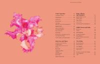 Gallery preview
