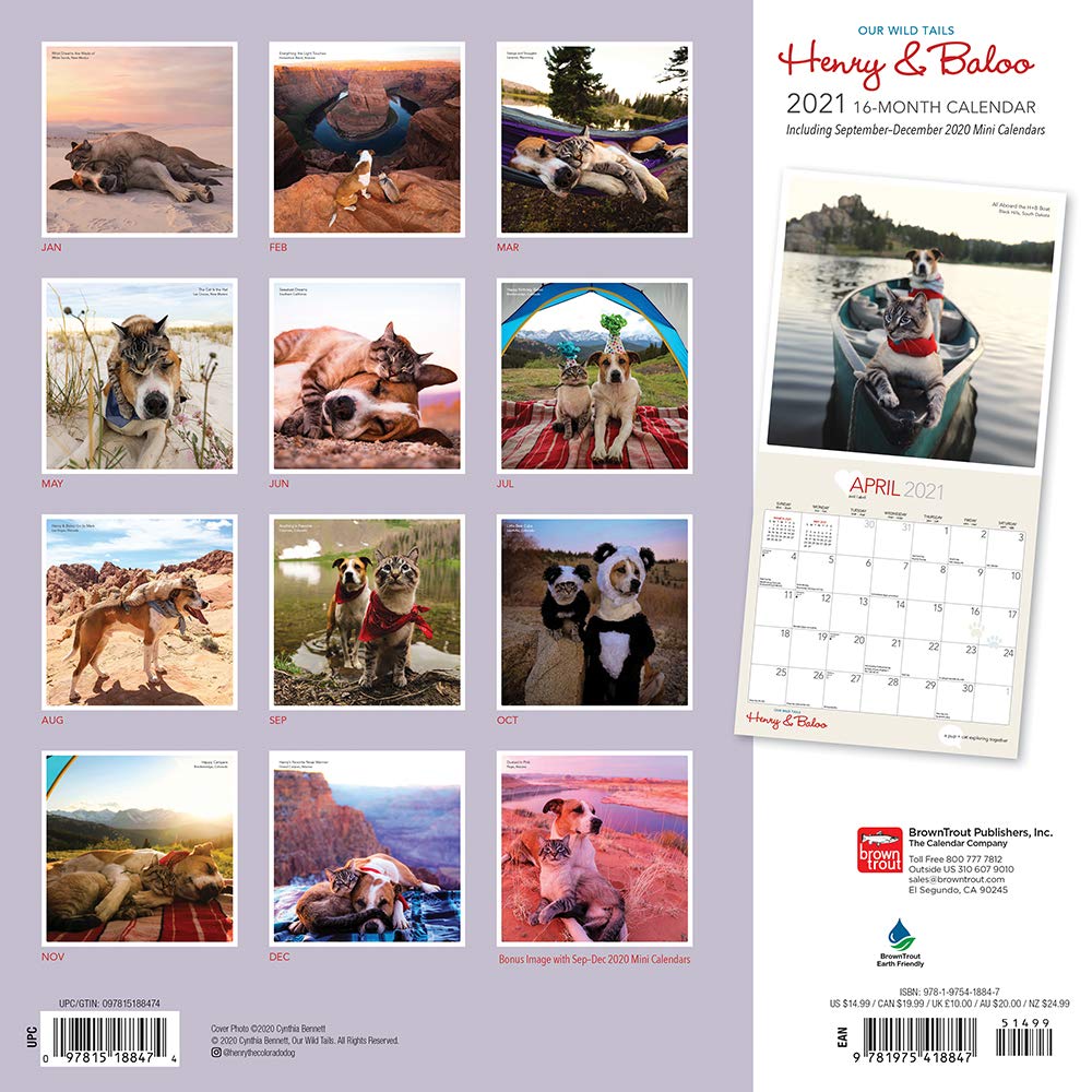 henry-baloo-our-wild-tails-2021-wall-calendar-by-browntrout-9781975418847-booktopia