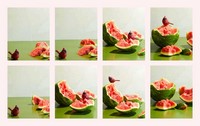 Gallery preview