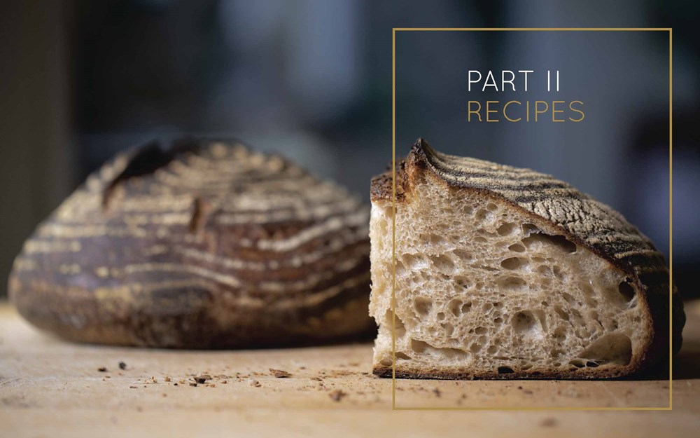 Evolutions in Bread, Artisan Pan Breads and DutchOven Loaves at Home
