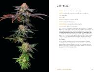 Gallery preview