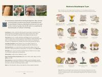 Gallery preview