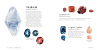 Gallery preview