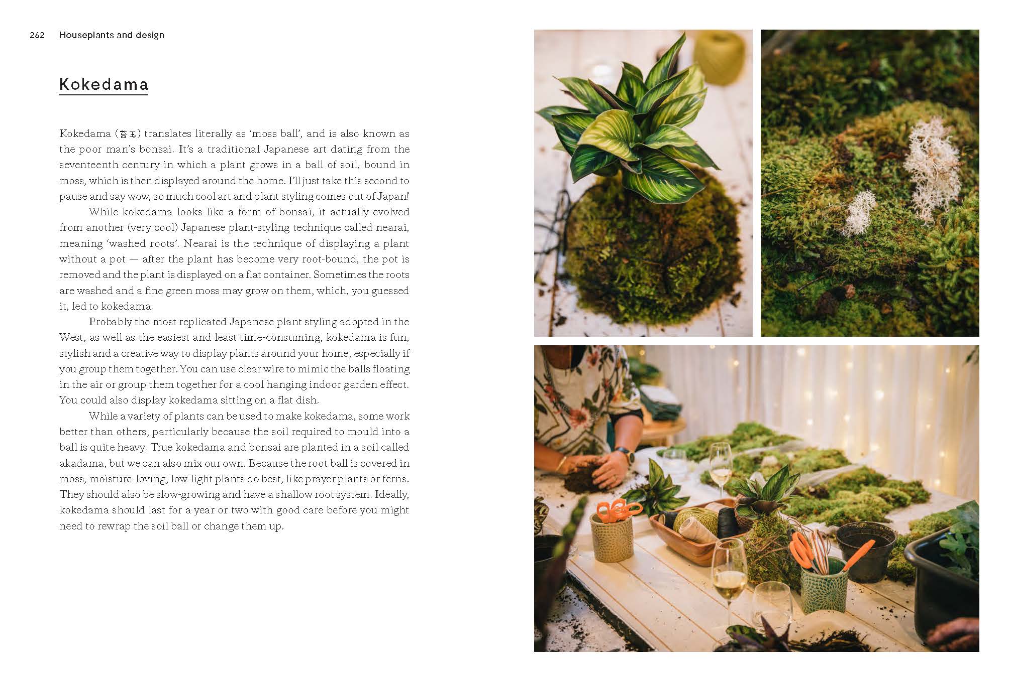 Houseplants and Design, A New Zealand Guide by Liz Carlson